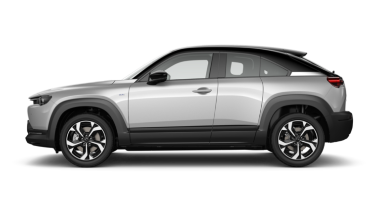 Ceramic Metallic with Black Side Panels and Roof